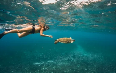 Fille qui fait du snorkeling pour voir des tortues