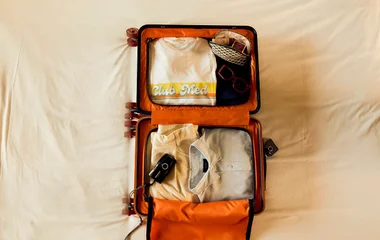 Valise