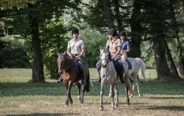 La Palmyre Atlantique