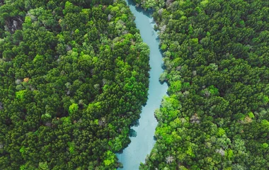 Krabi River seen from above