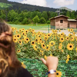 夏季北海道自由行