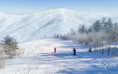 粉雪天堂