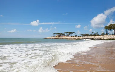 La Palmyre Beach