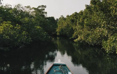 Kayak