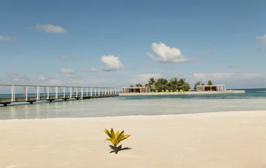 Strand am Meer mit Hütten