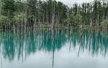 Parc National de Daisetsuzan