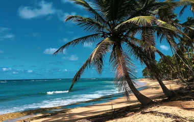 Le Parc National Cotubanama en République dominicaine
