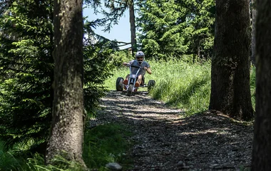 Mountain Kart