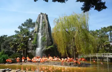Zoo de la Palmyre