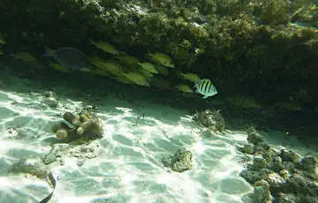 Smith’s Reef