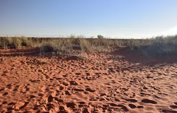 Désert du Kalahari