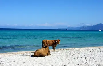 Plage de Saleccia