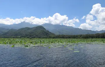 Lac de Yojoa