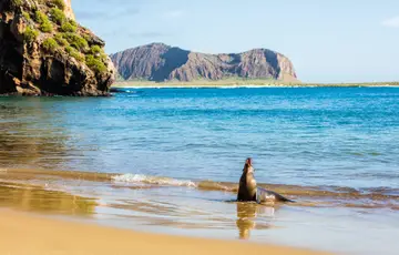 Îles Galápagos