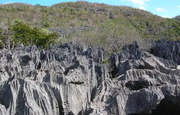 Réserve d’Ankarana