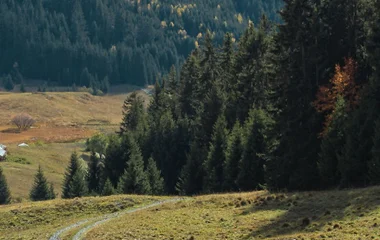 Valle Argentera