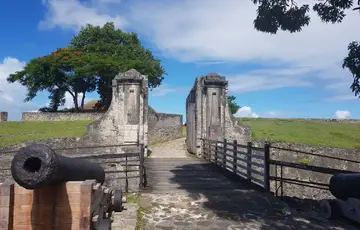 Fort fleur d'épée