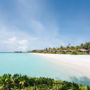 Strand, Meer und Wälder