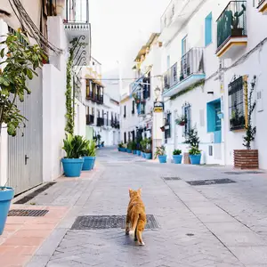 Marbella Old Town