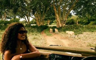 South Africa Safari