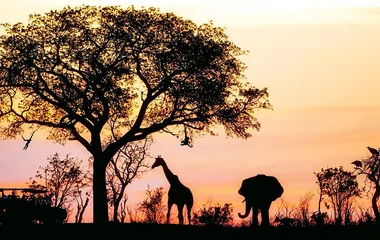 Kruger National Park