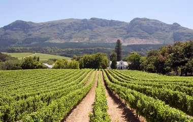 Cape Town Winelands