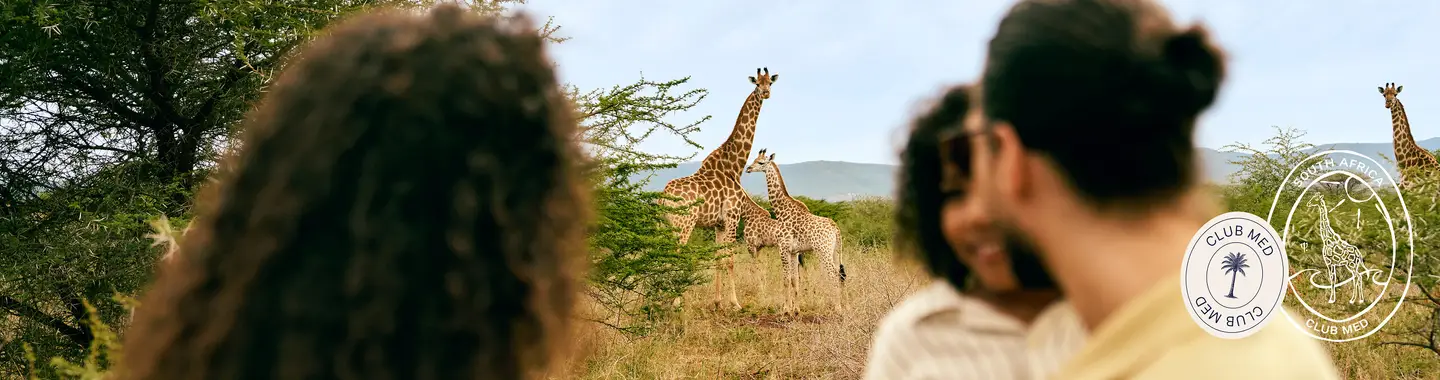 banner para la campaña