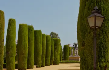 L’Alcázar des Rois Chrétiens à Cordoue en Espagne