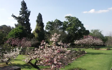 Jardins Botaniques de Johannesburg en Afrique du Sud