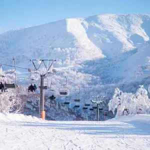 2025-26北海道粉雪 滑雪全包式假期