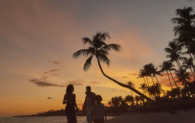 Pôr do sol laranja e amarelo com as sombras das palmeiras