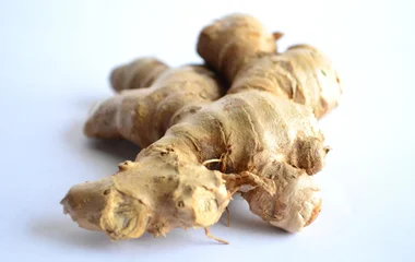 Gingembre