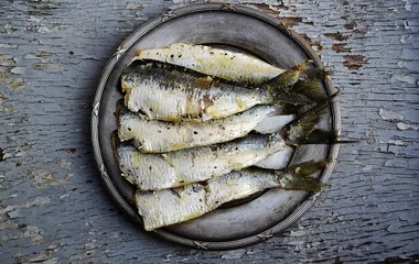 Sardines