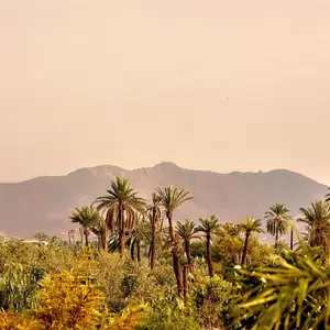 travel to marrakech in april