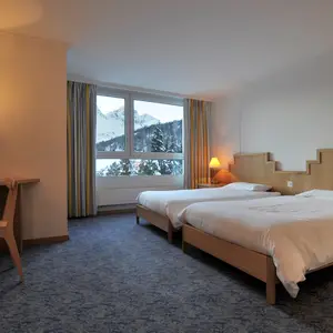 Superior Room - Mountain View