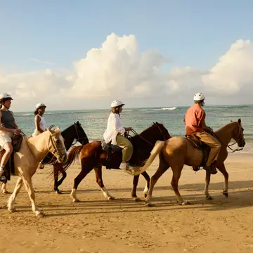 Horseriding