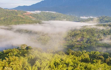 보르네오 맹그로브 열대우림 강 바다 자연 리조트 외부관광 에코 프로그램