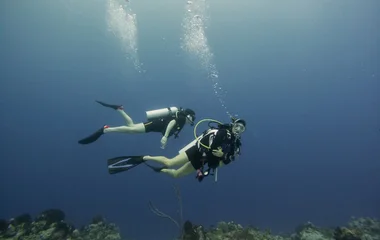 Diving in Bahamas