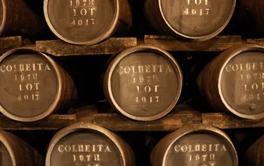 Vin de Porto : dégustation chaleureuse dans un chai familial