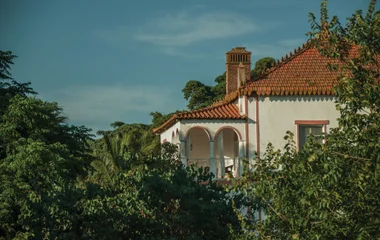 Séjour doux en quinta de charme, élégance madeirienne