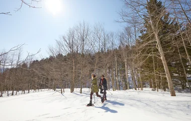 Pareja caminando por la nieve.