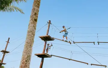 Treetop adventure
