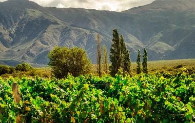 La nuit à Cafayate au cœur des vignobles