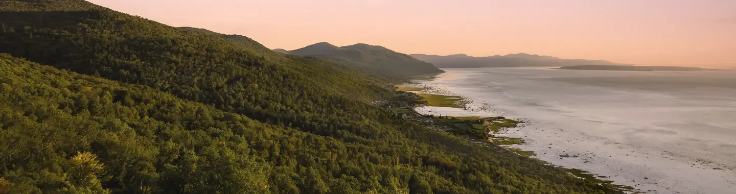 The Charlevoix Forest and the St. Lawrence River as seen from the air