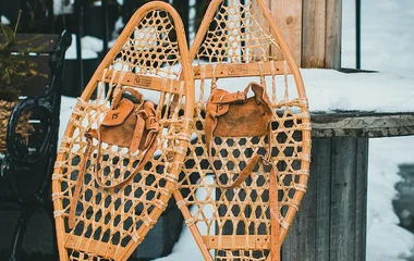 Snowshoes