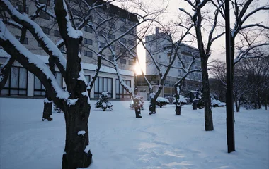 Buildings with snow and trees.