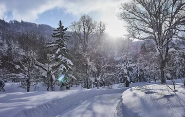 Snowy background
