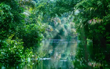 Les parcs variés de Tortuguero, Arenal, Carara, Manuel Antonio