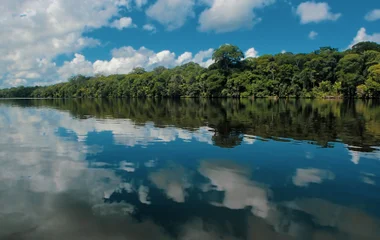 Le parc du Corcovado, dernier grand espace de forêt primaire