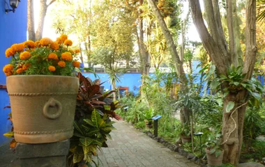 La maison-musée de Frida Kahlo à Mexico